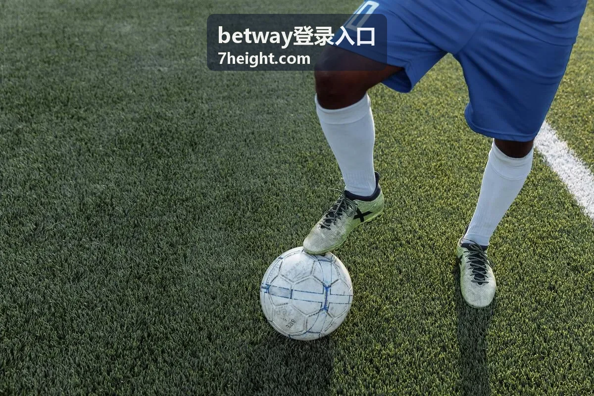 betway登录入口 多设备登录指引说明图